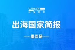 Ebpay数码GO GLOBAL | 墨西哥国家简报