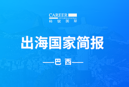 Ebpay数码GO GLOBAL | 巴西国家简报